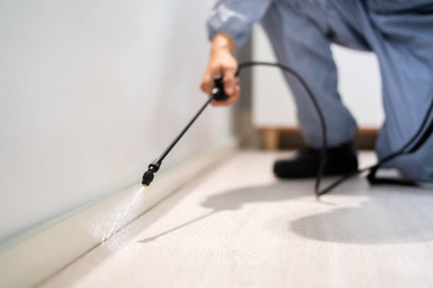Licensed Fumigation Services service in Bridgeport, WA - Nex Pest Control