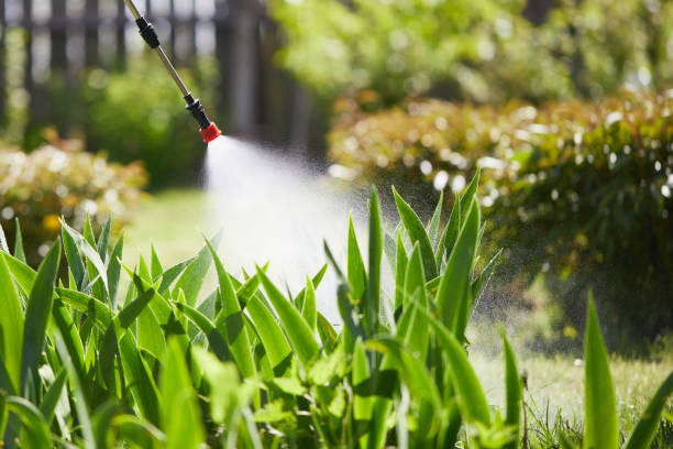 24/7 Emergency Fumigation Services experts in Bridgeport, WA