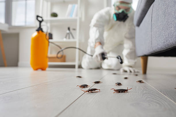Trusted Fumigation Services service in Bridgeport, WA - Nex Pest Control